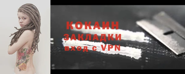 mdpv Бородино