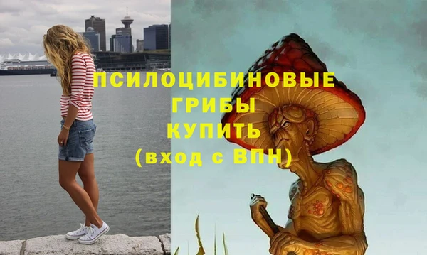 гидропоника Бронницы