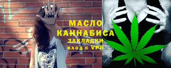 mdpv Бородино