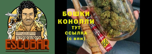 гидропоника Бронницы