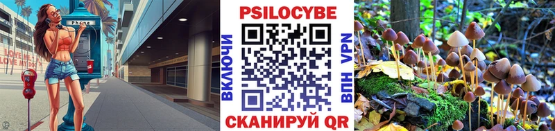 Купить где  Котельники  Псилоцибиновые грибы ЛСД 